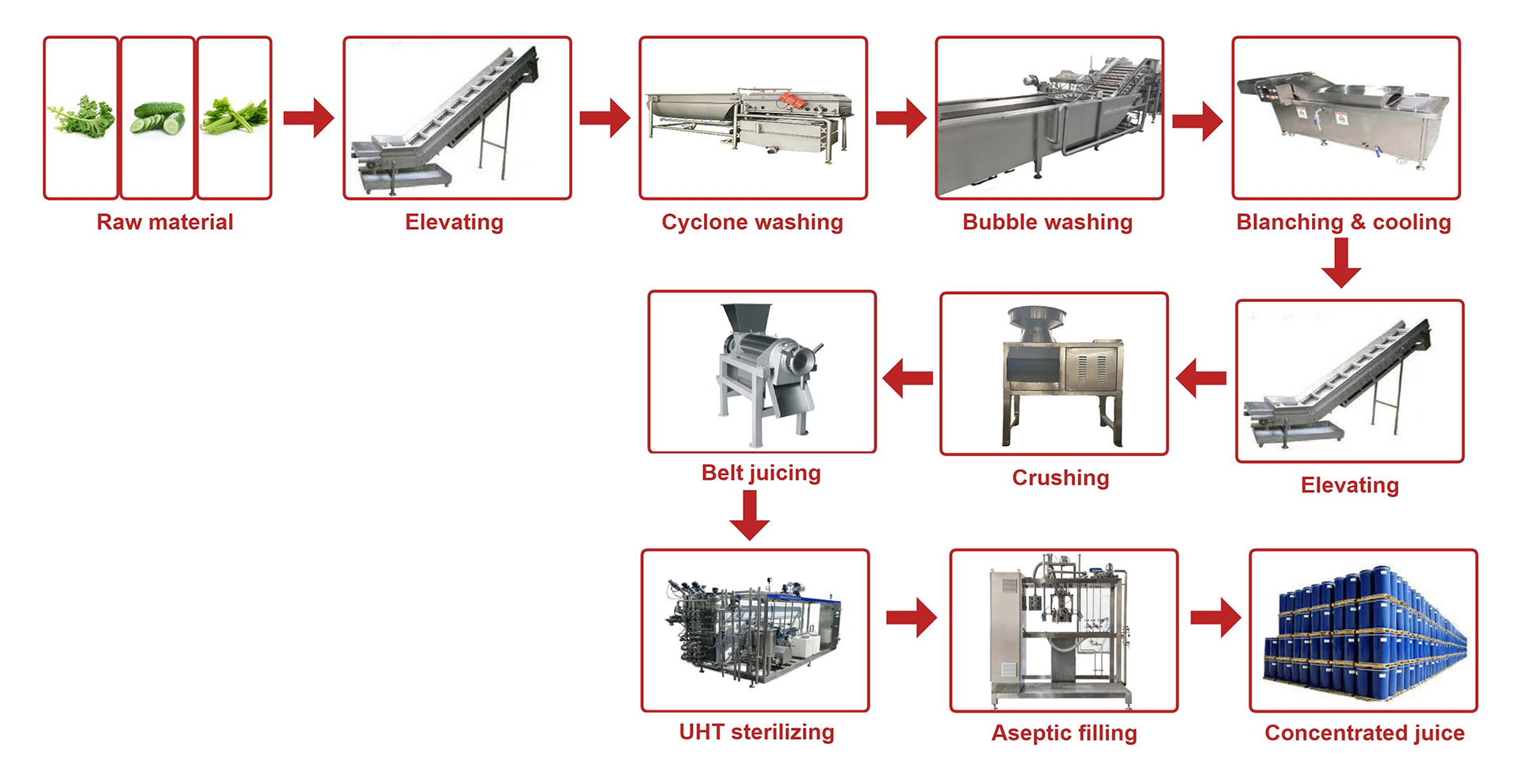 YGT Vegetable Processing Plant Process Процесс завода по переработке овощей YGT