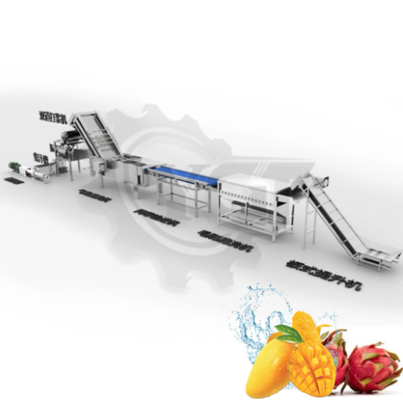 Мелкомасштабное растение свежего фруктового сока