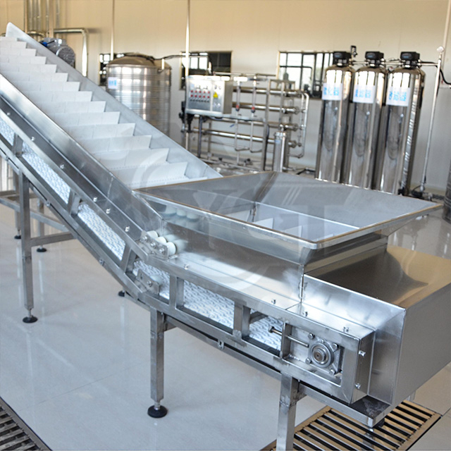 Производственная линия ананаса